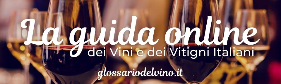 La guida dei vini e dei vitigni italiani - glossariodelvino.it 